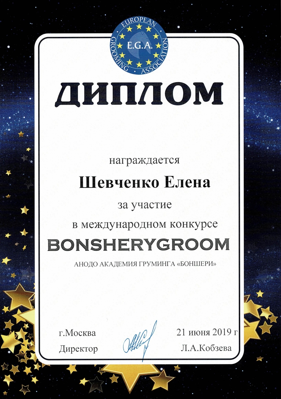 Bonsherygroom 2019