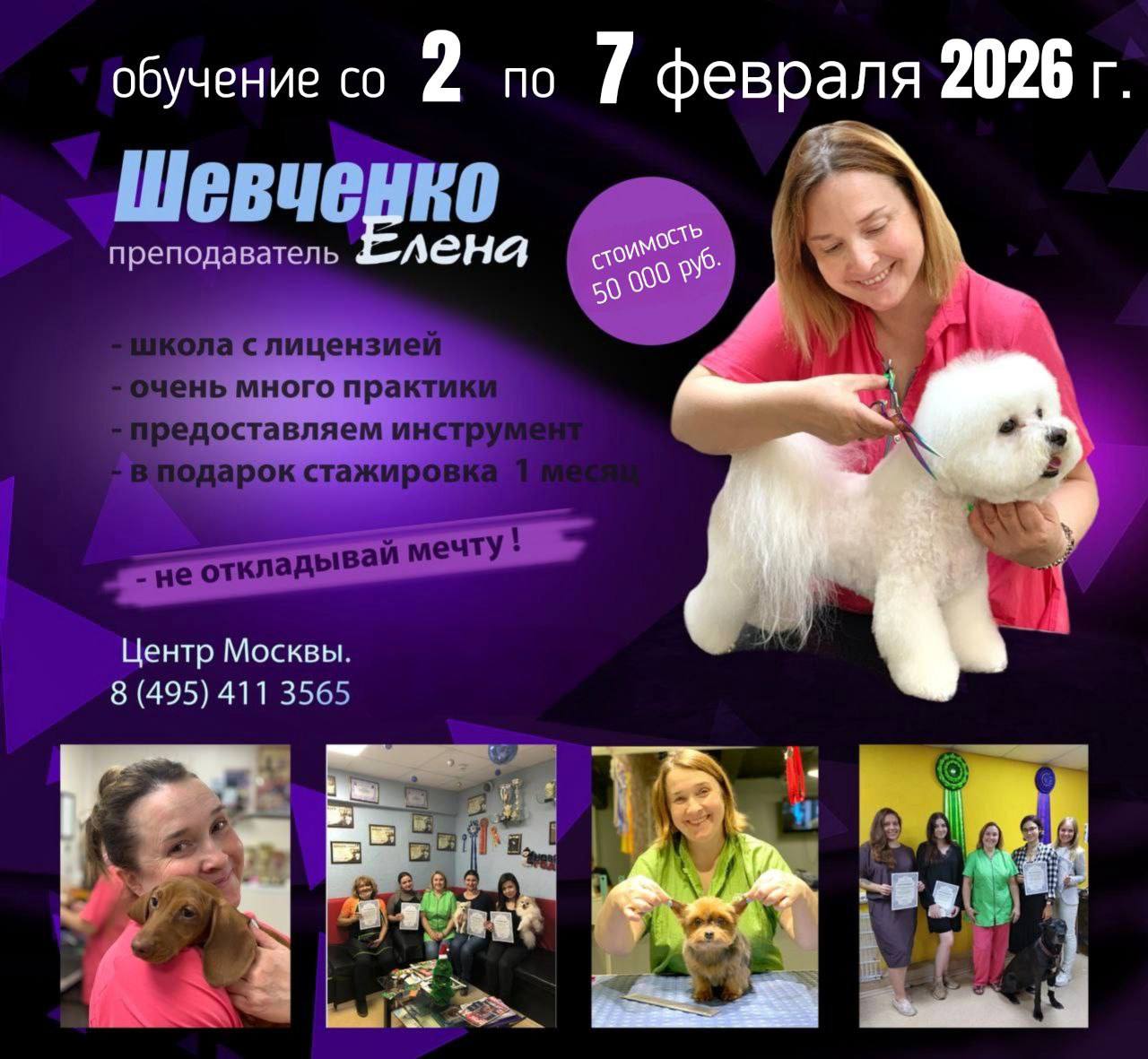 Обучение грумингу в группе «Интенсив» с Шевченко Еленой с 2-го по 7 февраля 2026 г.