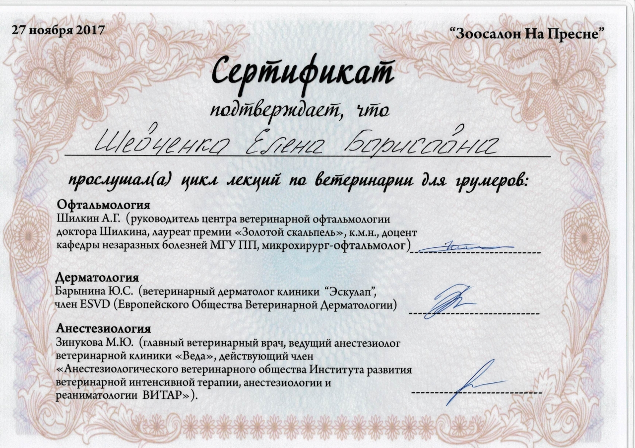 Сертификат