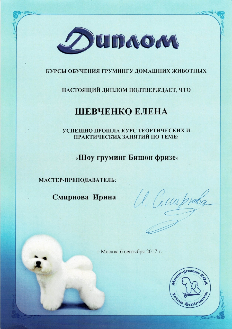 Шоу груминг Бишон фризе 2017