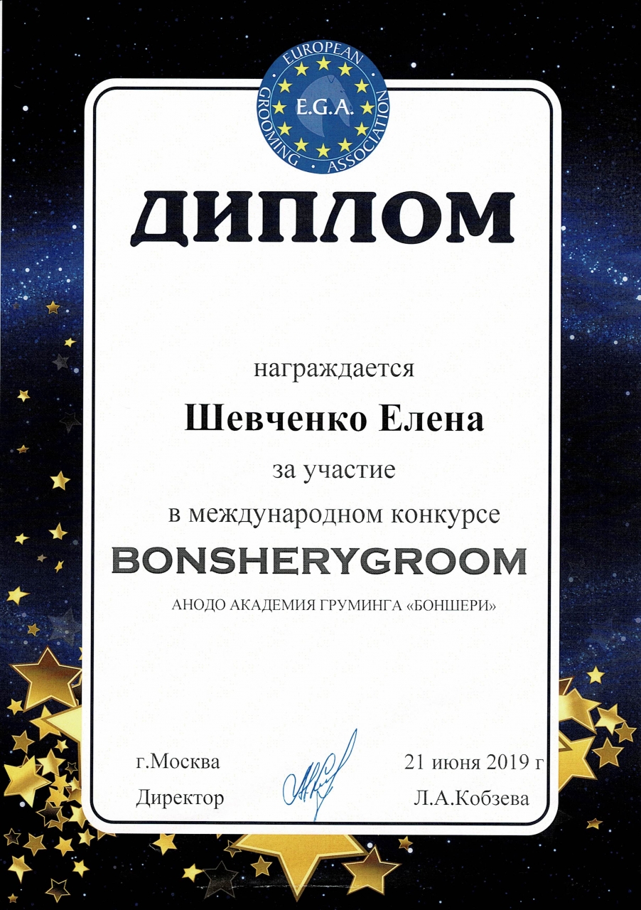 Bonsherygroom 2019