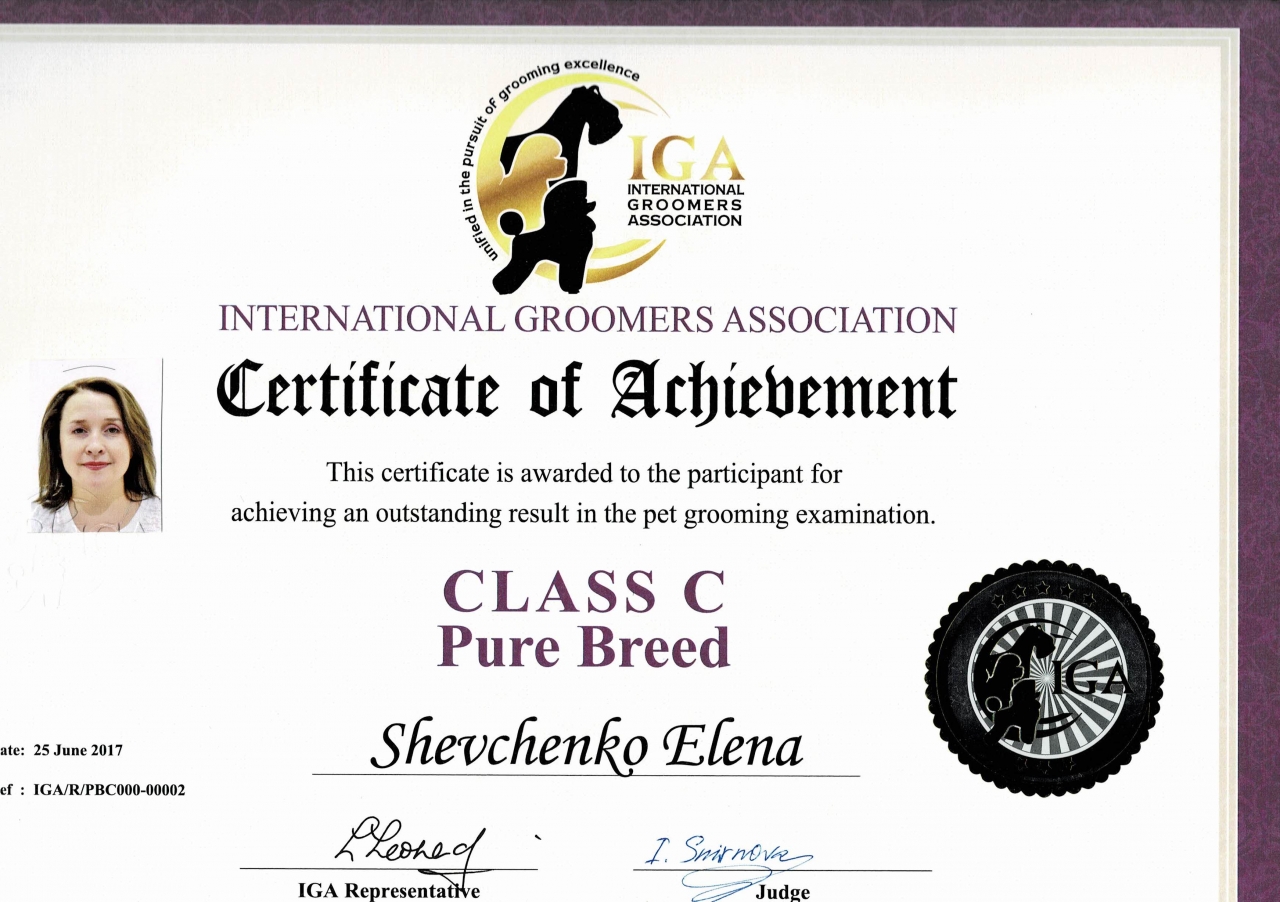Сертификат IGA