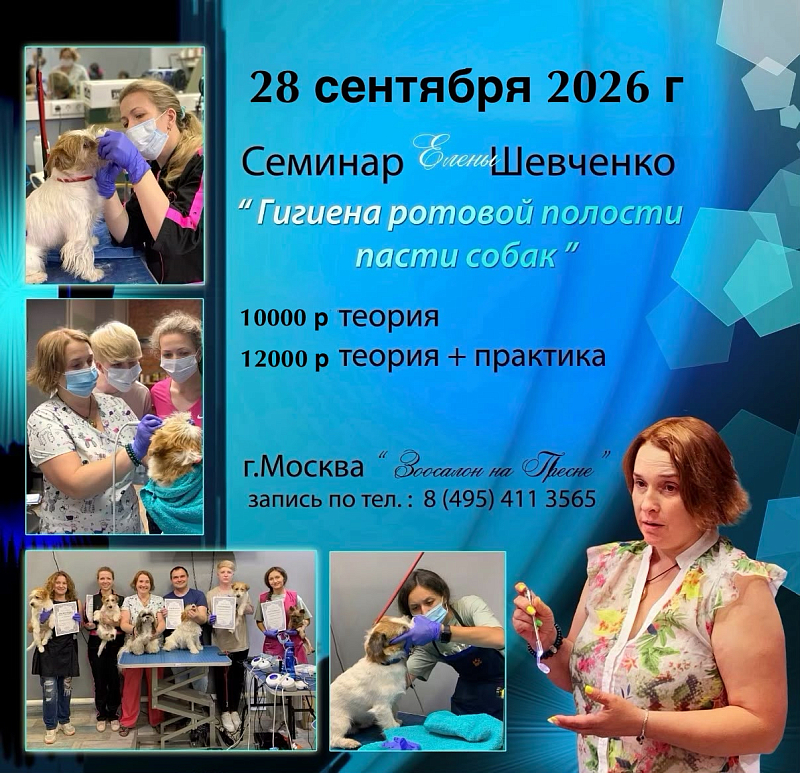Мастер-класс Елены Шевченко «Правильная гигиена полости пасти собаки» 28 сентября 2026 г.