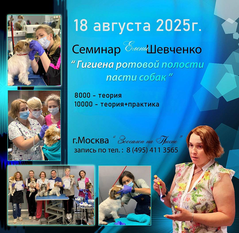 Мастер-класс Елены Шевченко «Правильная гигиена полости пасти собаки» 18 августа 2025 г.