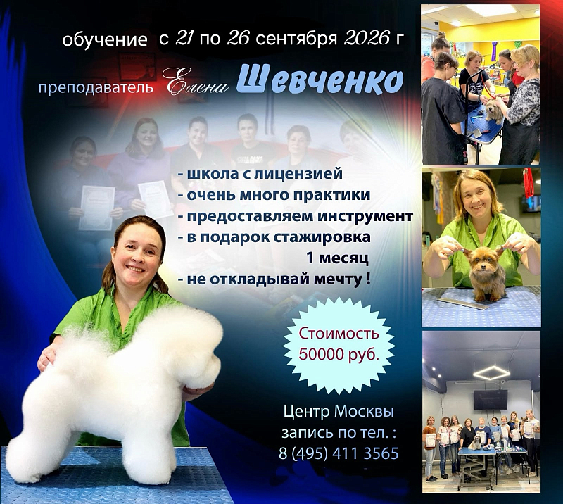 Обучение грумингу в группе «Интенсив» с Шевченко Еленой с 21-го по 26 сентября 2026 г.